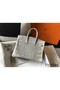 Hermes Birkin 25cm Bag In Ombre Embossed Natural Lizard Replica