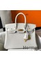 Hermes Birkin 25cm Bag In White Embossed Crocodile Leather Replica