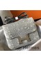 Hermes Constance 24cm Bag In Ombre Embossed Natural Lizard Replica
