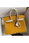 Hermes HSS Birkin 25 Bicolor Bag in Jaune d'or and Craie Epsom Calfskin Replica