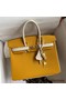 Hermes HSS Birkin 25 Bicolor Bag in Jaune d'or and Craie Epsom Calfskin Replica