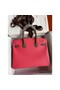 Hermes HSS Birkin 30 Bicolor Bag in Rose Lipstick and Taupe Epsom Calfskin Replica