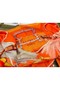 Hermes Orange Projets Carres Shawl 140 Replica