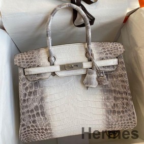 Hermes Birkin 25 Retourne Bag In Himalaya Niloticus Crocodile Skin