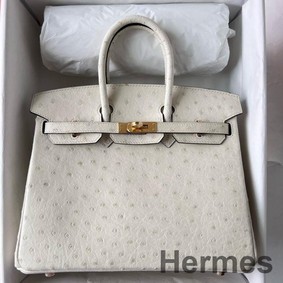 Hermes Birkin 25 Retourne Handmade Bag In Beton Ostrich Leather