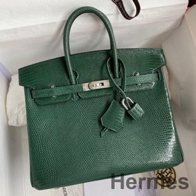 Hermes Birkin 25 Retourne Handmade Bag In Malachite Lizard Leather