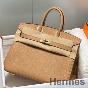 Hermes Birkin 25cm Bag In Chai Clemence Leather GHW