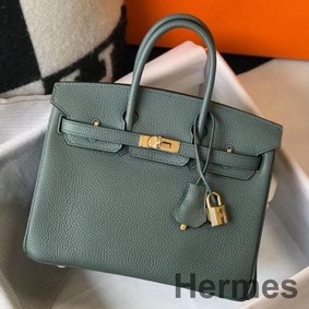 Hermes Birkin 25cm Bag In Vert Amande Clemence Leather GHW