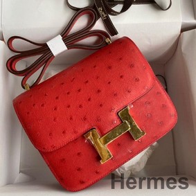 Hermes Constance 18 Handmade Bag In Red Ostrich Leather